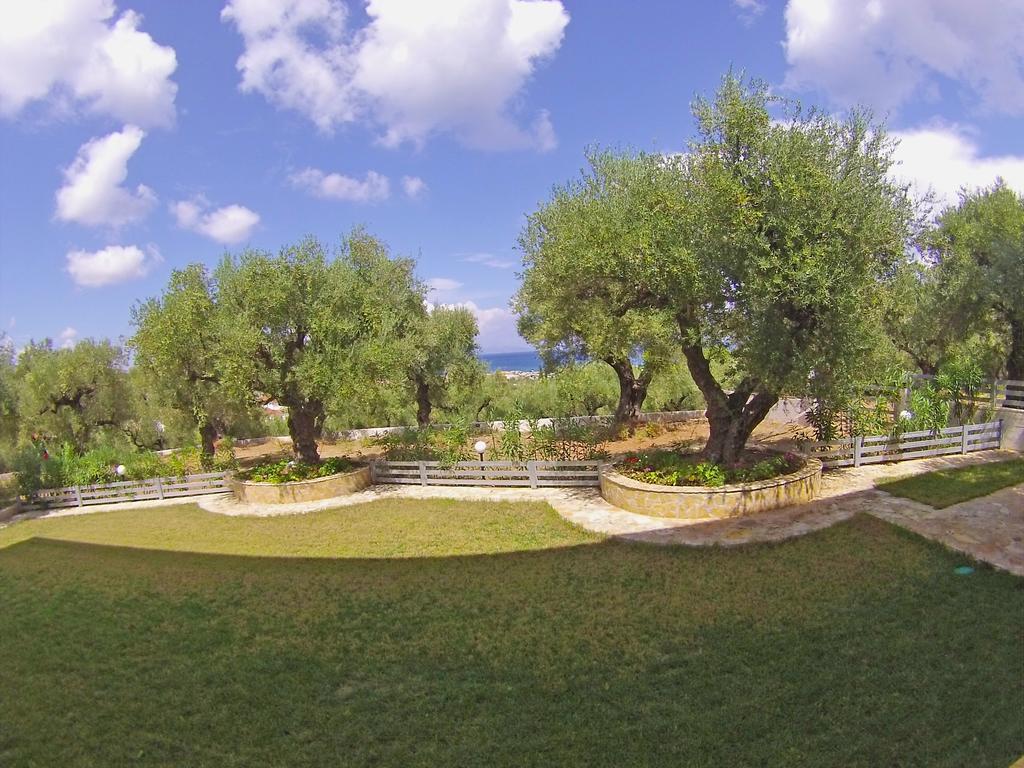 Pouliezos Koklanis Zante Apartments อาลีเกส ภายนอก รูปภาพ