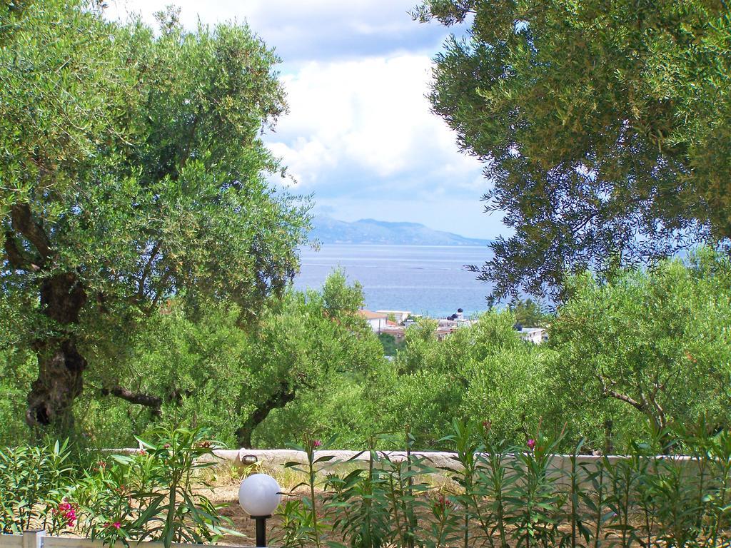 Pouliezos Koklanis Zante Apartments อาลีเกส ภายนอก รูปภาพ